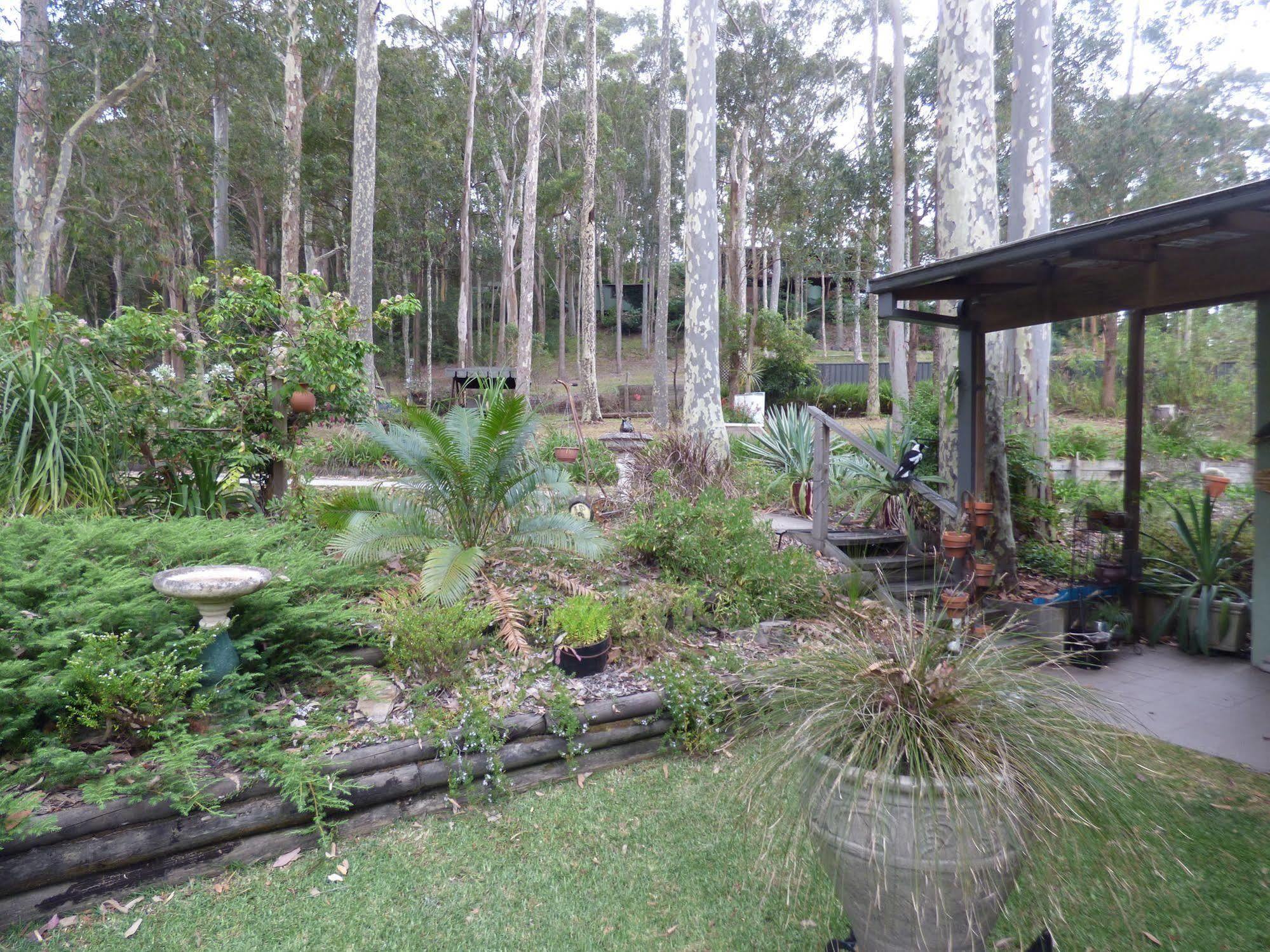 Werekataba Apartment Mount Hutton Exterior photo